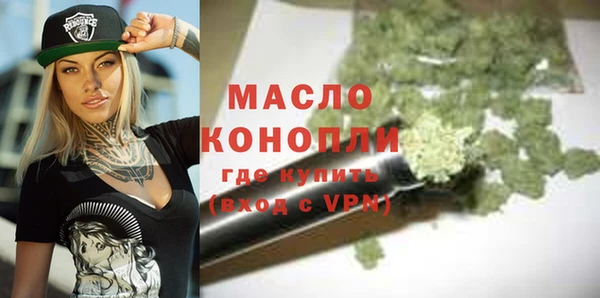 молекула духа Новозыбков
