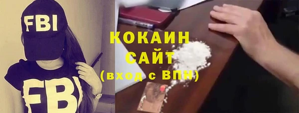 молекула духа Новозыбков