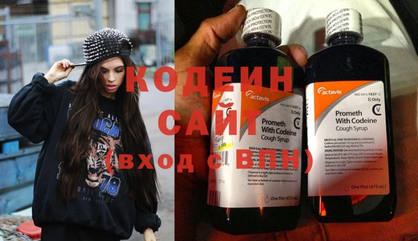 молекула духа Новозыбков