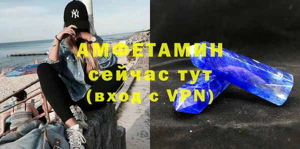 молекула духа Новозыбков