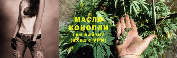 молекула духа Новозыбков
