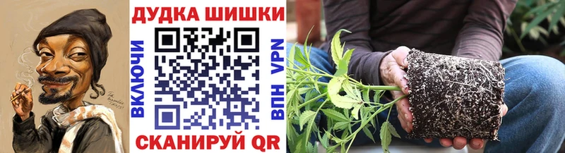 Конопля LSD WEED Лакинск